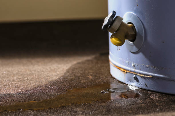 Sewage cleanup and water damage restoration in Florence Graham, CA