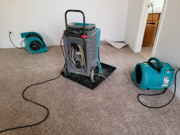 Best 24-hour water damage restoration  in Florence Graham, CA