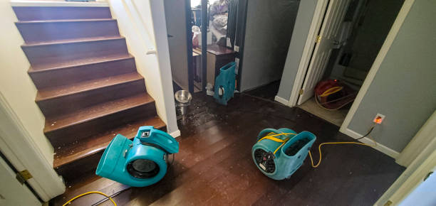 Best Flood damage cleanup  in Florence Graham, CA