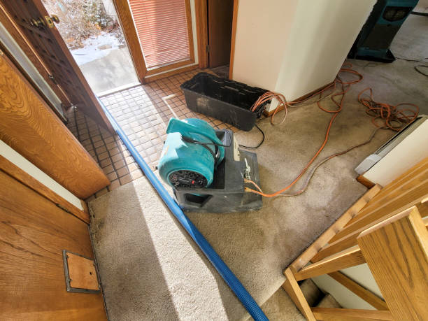 Best Professional water damage repair  in Florence Graham, CA