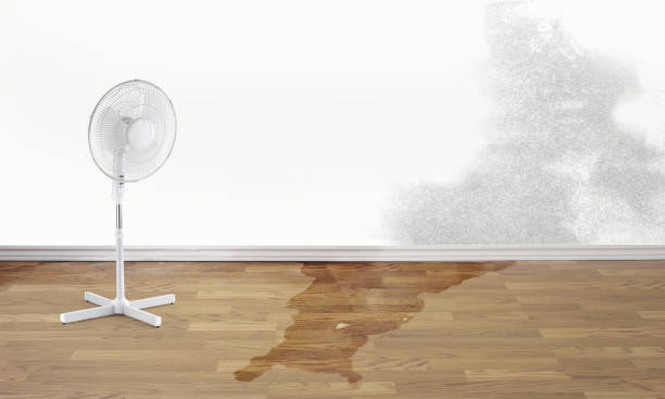 Best Water damage restoration mold remediation  in Florence Graham, CA