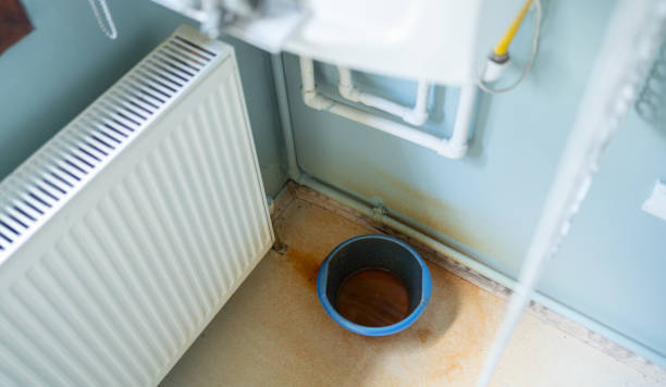 Best Water damage contractors near me  in Florence Graham, CA