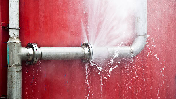 Best Water damage cleanup near me  in Florence Graham, CA